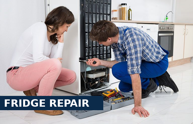Fridge Repair West Kensington
